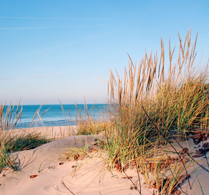 things to do for destination